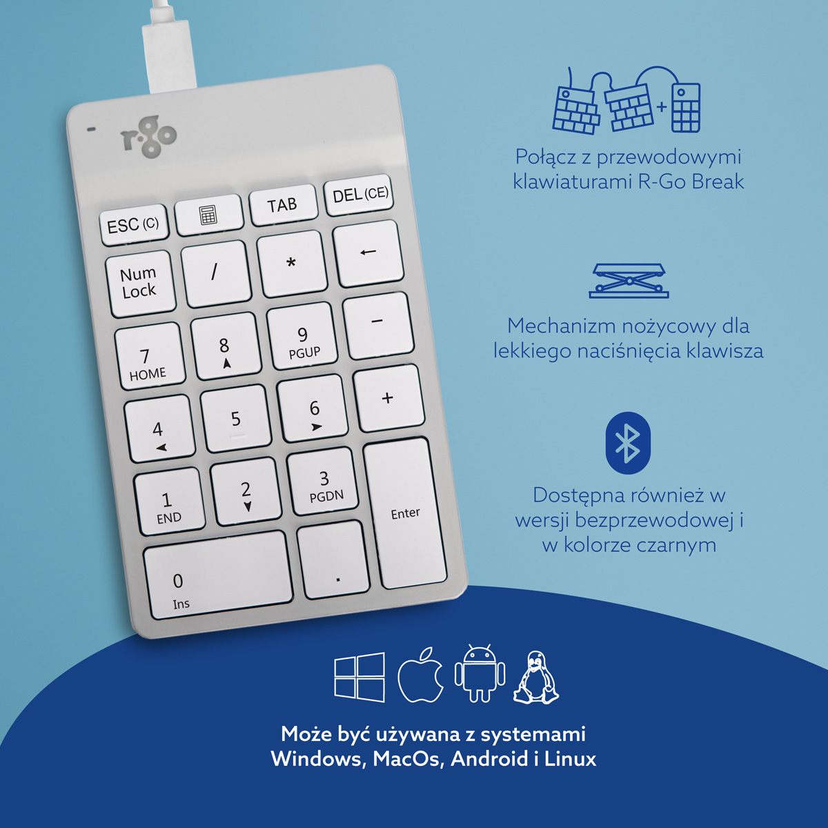 R-Go Numpad Break (biały, przewodowy)