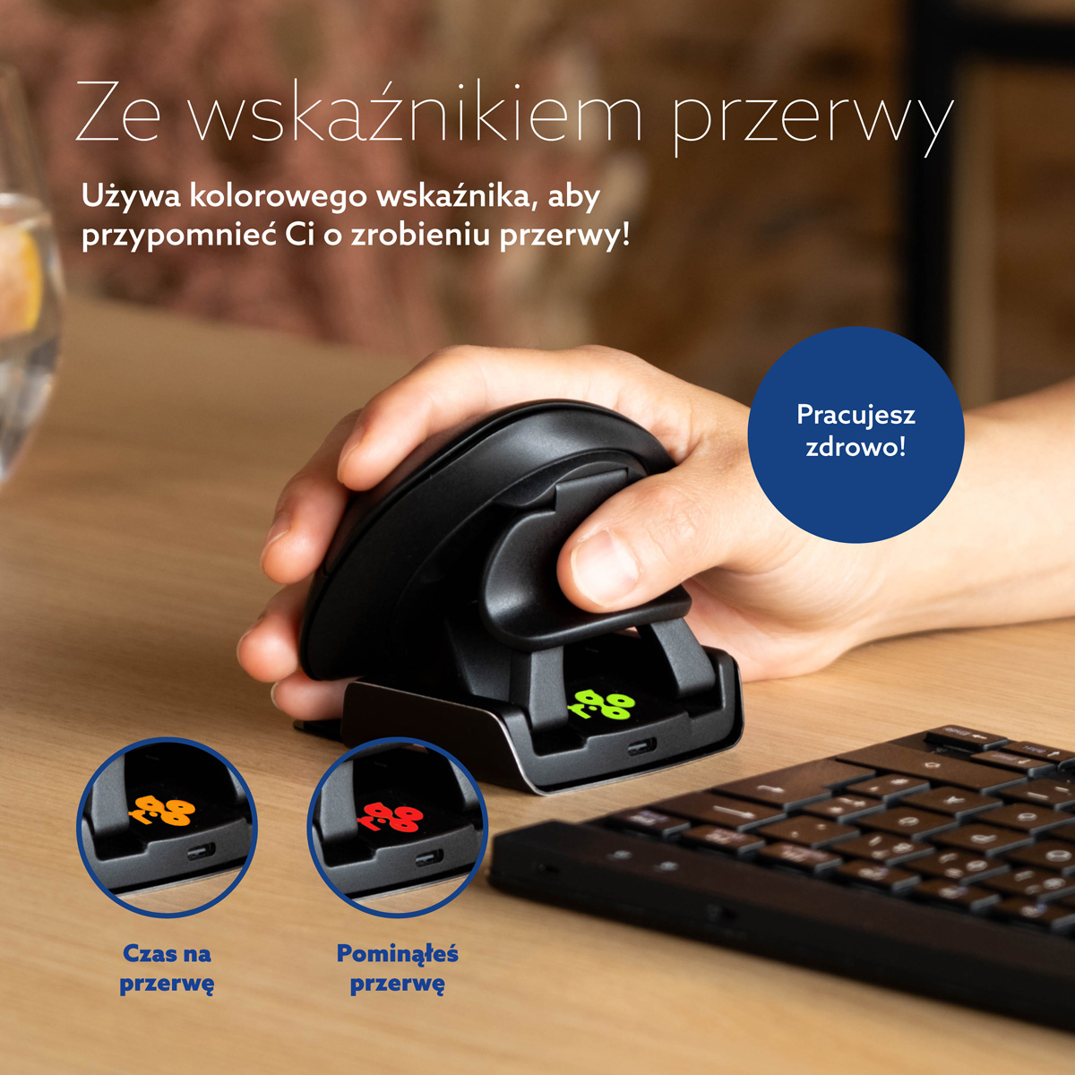 Oburęczna mysz R-Go Twister