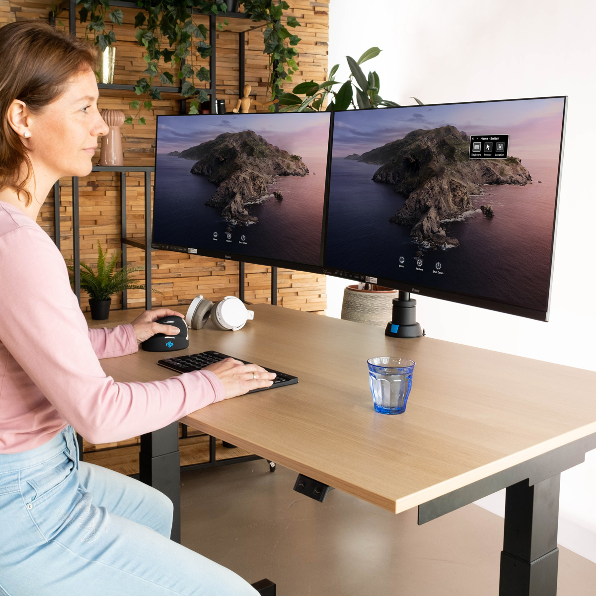 R-Go Double monitor arm (Caparo)